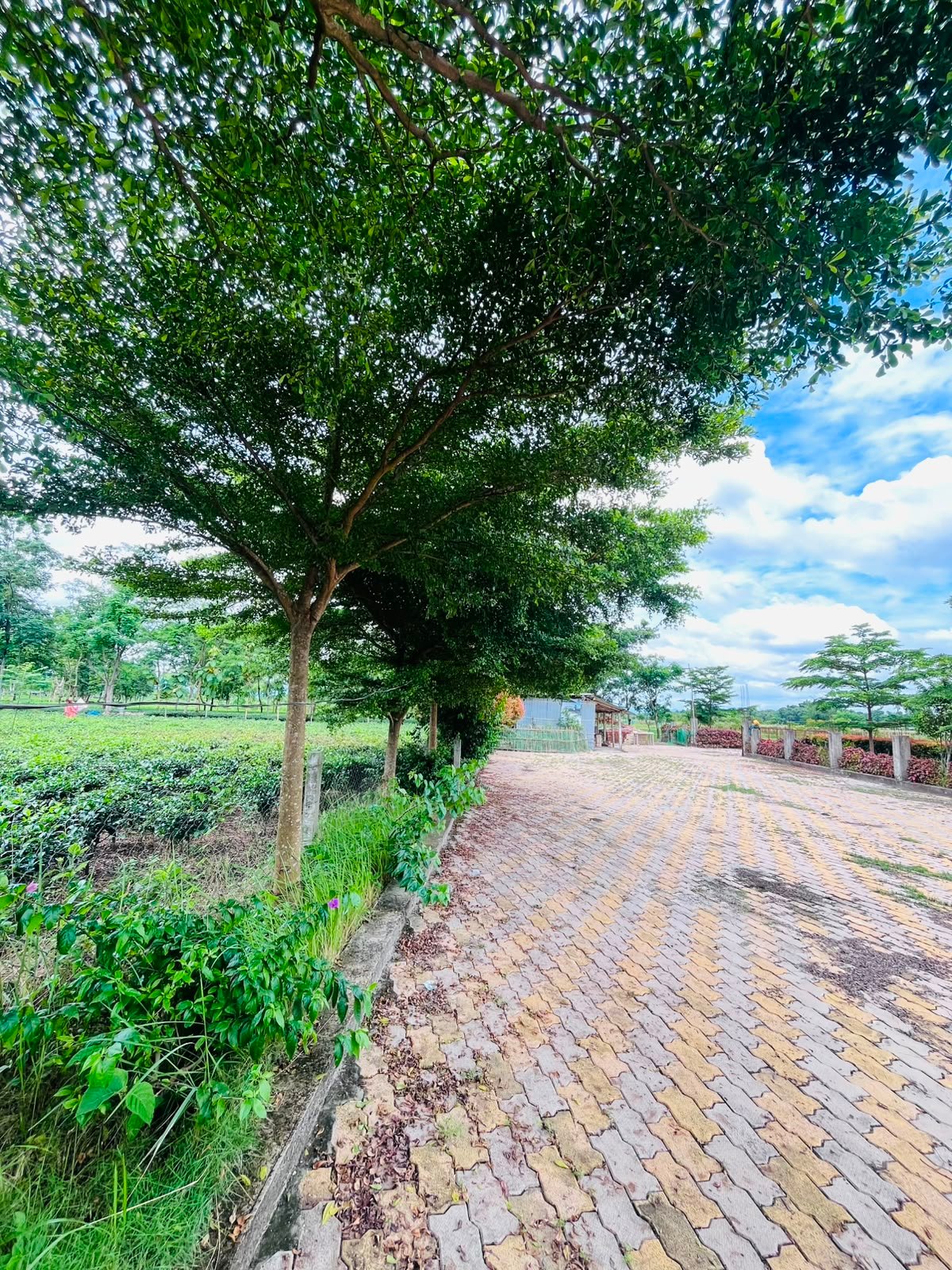 Shanti Kunj Gallery Image 9